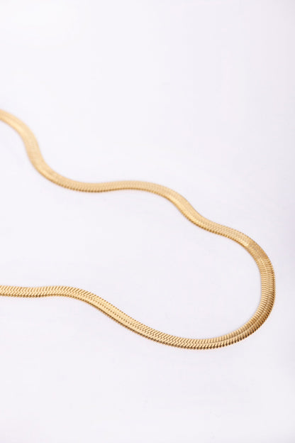 Collar Cadena Fina